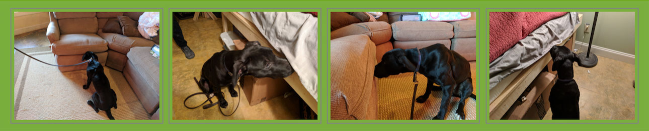 True Heat Solutions – K-9-inspection True Heat Solutions - K-9-inspection